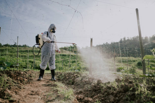Best Mosquito Control Services  in Windsor, NC
