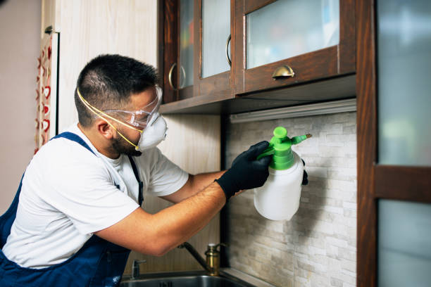 Best Wildlife Control Services  in Windsor, NC