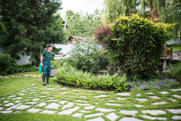 Best Commercial Pest Control Services  in Windsor, NC