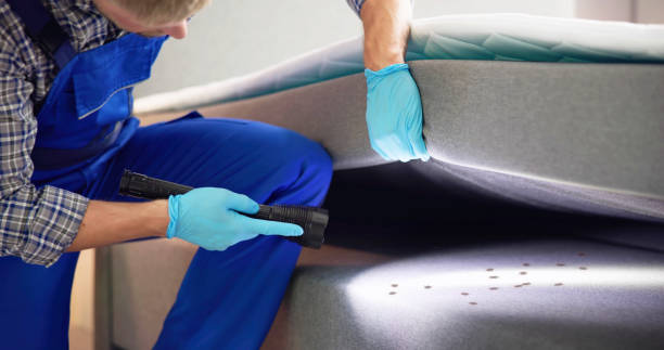 Best Affordable Pest Control Services  in Windsor, NC