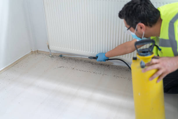 Professional Pest Control in Windsor, NC