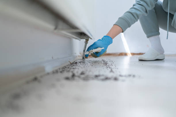 Best Affordable Pest Control Services  in Windsor, NC